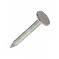 Clout Nails Galvanised 50 x 2.65mm 2.5kg Pack